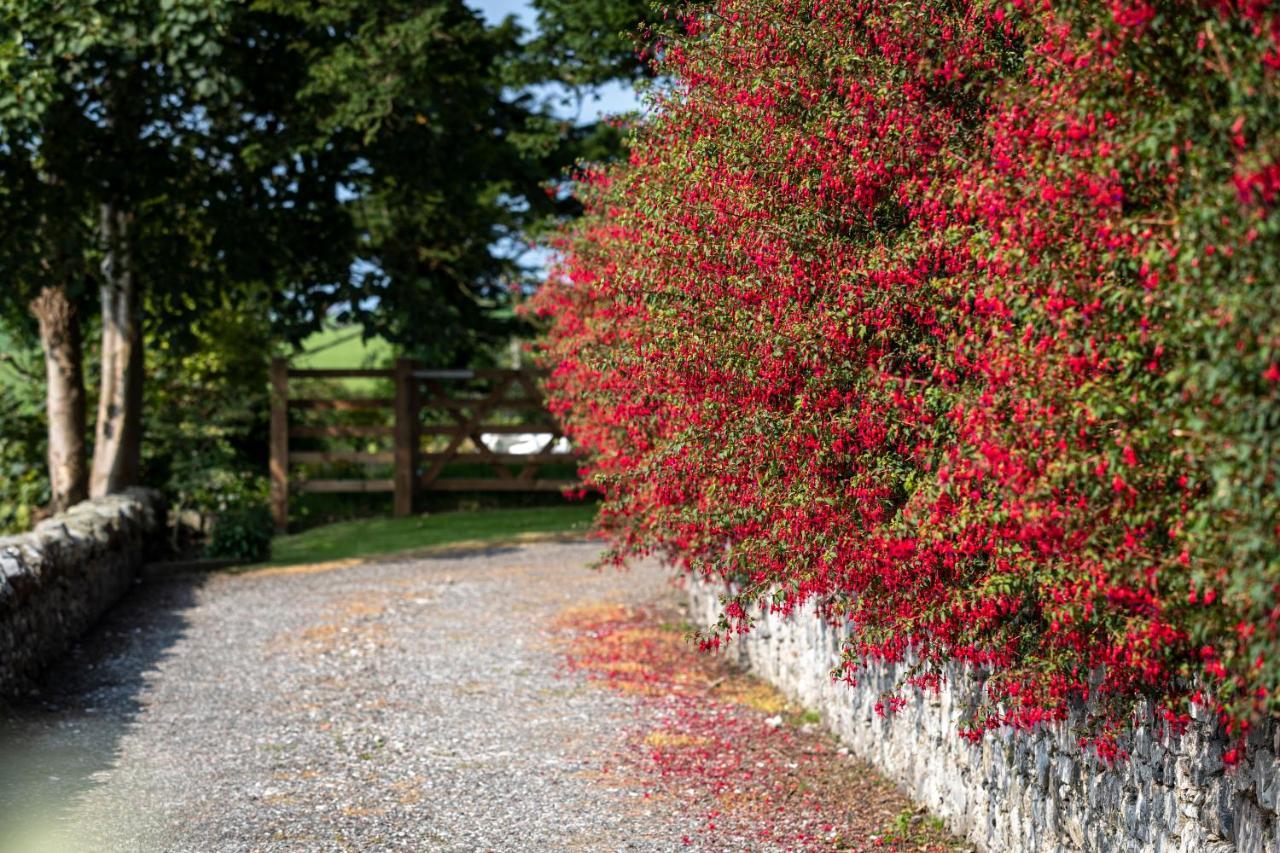 Bed and Breakfast Craigmount Wigtown Exteriér fotografie